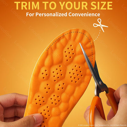 2 Pairs Steppers Massage Insoles for Men Women Unisex, Enhanced Arch Support & Cushioned Comfort, Fits All Shoe Types